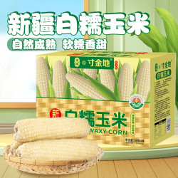 兮域 新疆白糯玉米8穗（整盒）260g/穗软糯香甜洁白饱满