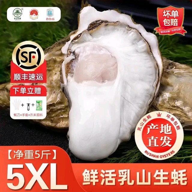 京觅 每斤9元、地标产品！特大号鲜活乳山生蚝5XL 净重5斤（9-12只）