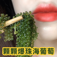 开袋即食盐渍海葡萄赠送蘸料泡水即食天然海藻脆
