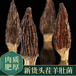 2026新羊肚菌干货头茬正宗煲汤食材50g/袋 现货速发