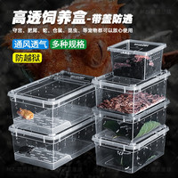 爬虫饲养盒蜘蛛角蛙蜗牛仓鼠守宫爬宠箱乌龟缸寄居蟹饲养缸生态缸