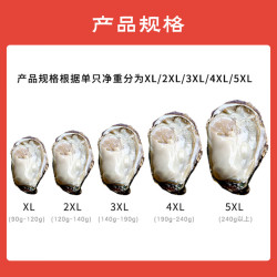 鲜京采 鲜活生蚝 5XL 9-12只 净重5斤 贝类