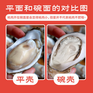 鲜京采 鲜活生蚝 5XL 9-12只 净重5斤 贝类