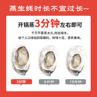 鲜京采 鲜活生蚝 5XL 9-12只 净重5斤 贝类