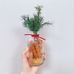 2025款 肉桂多米瓶 文化创意瓶