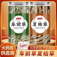 车前草夏枯草材车钱草夏谷草夏菇草可搭罗汉果仁煮水喝的精选