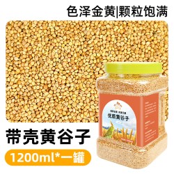 冠之亚 鹦鹉饲料鸟粮新黄谷子带壳小米虎皮鹦鹉饲料玄凤牡丹专用鸟食粮食