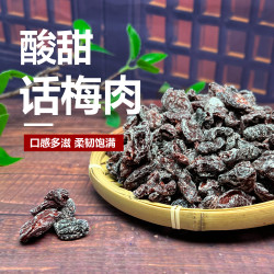 九制话梅肉无核酸梅干开胃零食怀旧酸甜梅子干蜜饯果干果脯