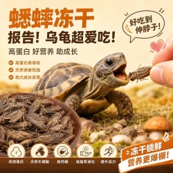 饰宠喵 龟粮冻干白蟋蟀乌龟饲料营养高蛋白零食虫干巴西龟草龟鳄龟甲鱼鳖