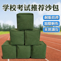 其他家 沙包袋小学生专用儿童丢沙包幼儿园成人大号投掷体育课沙袋小沙包 1只装 200g