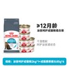 皇家 幼年老年猫干粮营养主食湿粮罐头