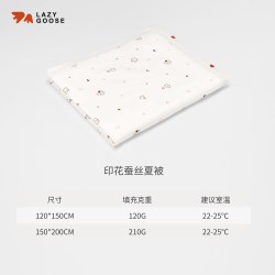 懒鹅可水洗宝宝蚕丝被婴儿桑蚕丝被纯棉A类幼儿园儿童被子四季