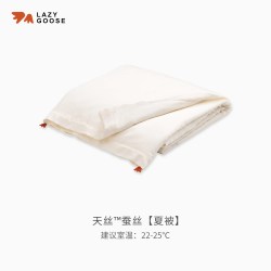 懒鹅宝宝可水洗桑蚕丝被四季婴儿空调被子被芯儿童天丝夏凉被