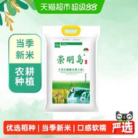 移动端、88VIP：崇明岛 米大王6号