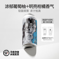纸飞机酿造 洋流上下 TDH帝国浑浊IPA 强酒花精酿啤酒 473mL*2罐 #值酒发现官#