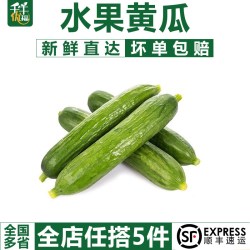 千牛优福 水果黄瓜500g荷兰小黄瓜无刺短黄瓜新鲜蔬菜沙拉食材