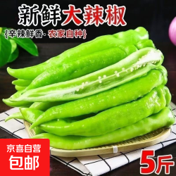 京喜 新鲜青椒现摘薄皮辣椒尖椒羊角椒虎皮辣椒农家自种 漳州j净重1.8斤含箱