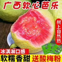 移动端：纯香果 广西软糯红心芭乐5斤新鲜水果番石榴脆甜软糯胭脂红0土巴乐整包邮