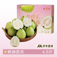 移动端：福瑞达 红心芭乐礼盒新鲜水果番石榴脆甜软糯胭脂红巴乐中秋送礼广西