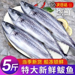 缤鲜 大鲅鱼新鲜活鲐鲅鱼马鲛鱼大整条冷冻青花鱼马友鱼海鲜马交鱼礼盒
