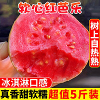 移动端：妙果森 顺丰包邮漳红心软芭乐冰淇淋口感5斤胭脂红番石榴新鲜水果包邮
