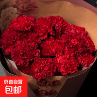 康乃馨鲜花红色  20枝+进口保鲜剂