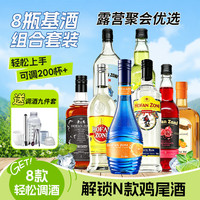 霍梵尊尼 调酒套装威士忌金酒伏特加朗姆酒力娇酒鸡尾酒8瓶洋酒基酒组合 8甁基酒+赠调酒工具