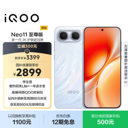 vivo iQOO Neo11 至尊版 手机 12GB+256GB 乘风