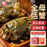 蟹叁钳庄 全母大闸蟹 3.0-3.3两 8只装