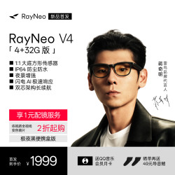 雷鸟 V4 AI智能眼镜 黑色 4GB+32GB 镜架款