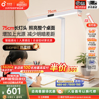 孩视宝 R系列标准款 50W自然光 台式大路灯