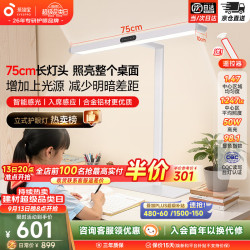 孩视宝 R系列标准款 50W自然光 台式大路灯