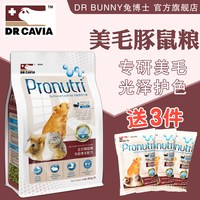 兔博士 DR Bunny兔博士美毛豚鼠粮荷兰猪饲料天竺鼠粮食膨化葵鼠主粮900g