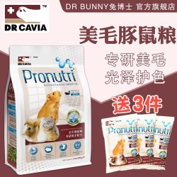 兔博士 DR Bunny兔博士美毛豚鼠粮荷兰猪饲料天竺鼠粮食膨化葵鼠主粮900g
