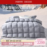 水星家纺 A类抑菌阻螨95%鹅绒冬被芯防钻绒秋冬羽绒被子 寒域静暖抗菌鹅绒冬被150cm×210cm