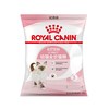 皇家 幼猫粮K36/50g 试用装
