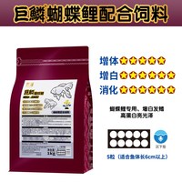神阳 巨鳞蝴蝶鲤专用饲料增白鱼粮锦鲤鱼食白金龙凤下沉型高蛋白