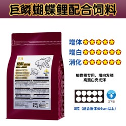 神阳 巨鳞蝴蝶鲤专用饲料增白鱼粮锦鲤鱼食白金龙凤下沉型高蛋白