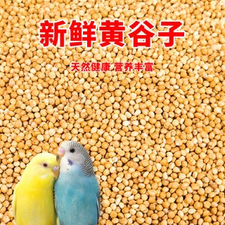 深深宠 鹦鹉饲料鸟粮新黄谷子带壳小米虎皮鹦鹉饲料玄凤牡丹专用鸟食粮食
