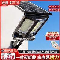 颖朗 太阳能庭院照明灯 户外感应灯 超亮大功率防水