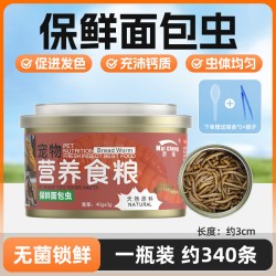 奈宠 守宫挑食专用罐头保鲜杜比亚开口即食虫粮罐头角蛙豹纹蜥蜴专用粮