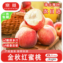 京觅 山东金秋红蜜桃子 净重5斤大果 单果120g+ 新鲜水果源头直发包邮