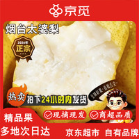 京觅 山东烟台太婆梨 4.5斤单果100g+ 啤梨 香蕉梨 源头直发