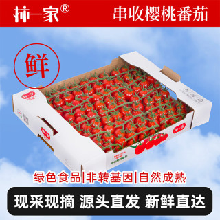 京鲜生 &柿一家 串收樱桃番茄玲珑串净重1.5kg 小西红柿中秋礼盒源头直发