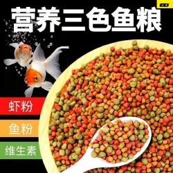 明星猫 通用型锦鲤金鱼鱼池鱼食饲料小颗粒通用观赏鱼料鱼粮专用海鱼增色