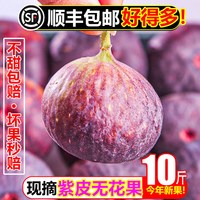 润宁 紫皮无花果10斤新鲜水果甜糯当季特级大果青红皮孕妇