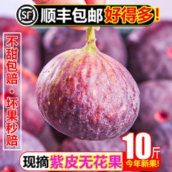 润宁 紫皮无花果10斤新鲜水果甜糯当季特级大果青红皮孕妇