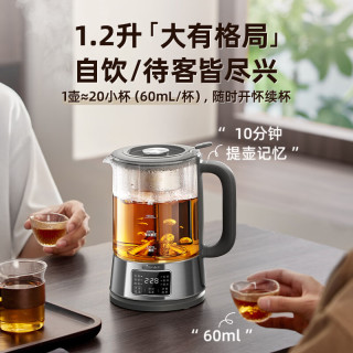 小熊 316L不锈钢喷淋蒸茶壶 养生壶  1.2L