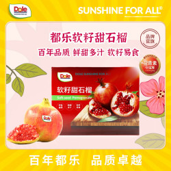 都乐 突尼斯软籽石榴 6斤精品大果礼盒款（单果350g+）