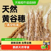 88VIP：yee 鹦鹉天然谷穗带壳黄谷子小米珍珠鸟虎皮鹦鹉专用鸟粮玄凤零食